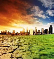 Agriculture & its impact to Global warming!